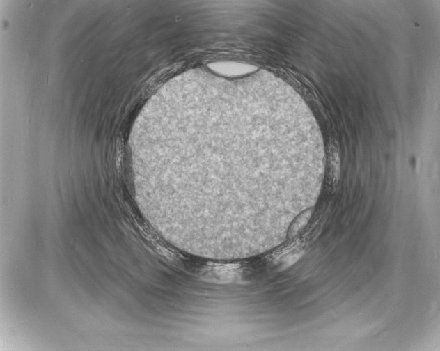 X0000085280665200704092208