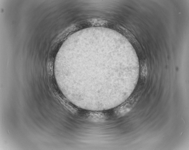 X0000085280666200704092208