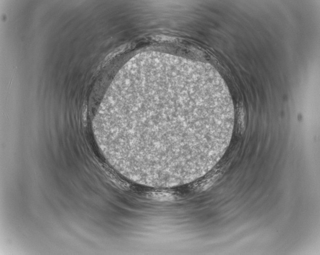 X0000085280668200704092208