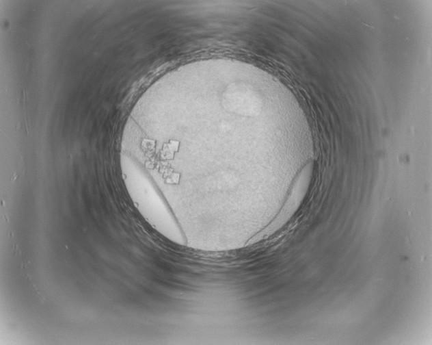 X0000085280672200704092208