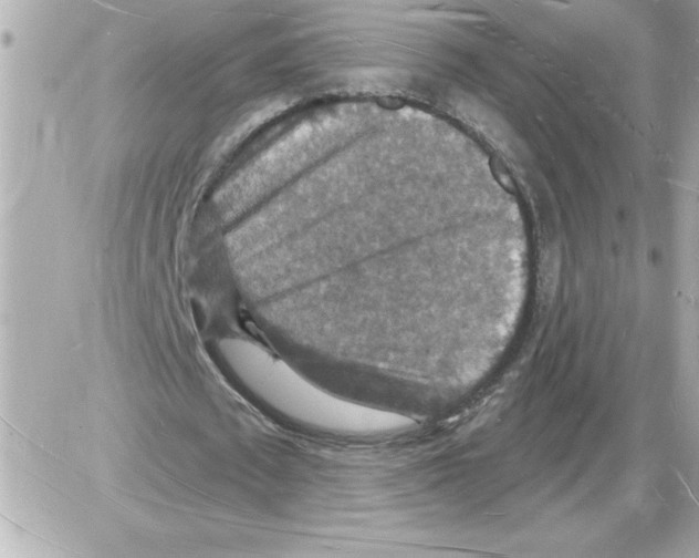 X0000085280673200704092207