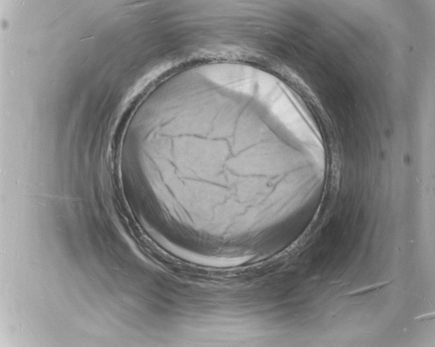 X0000085280674200704092207