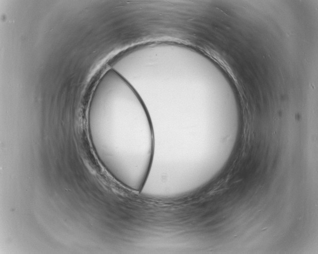 X0000085280676200704092207