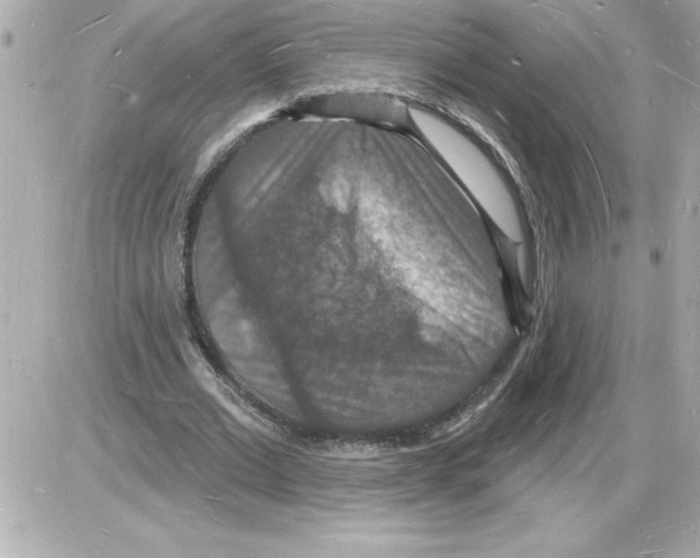 X0000085280677200704092207