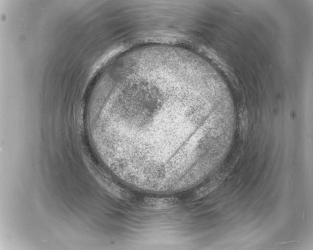 X0000085280679200704092207