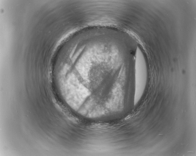 X0000085280680200704092207