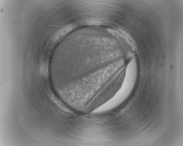 X0000085280681200704092207