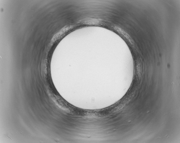 X0000085280682200704092207