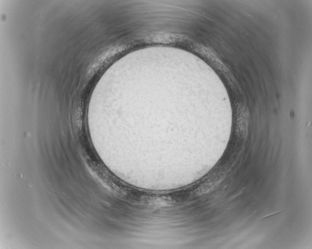 X0000085280683200704092207