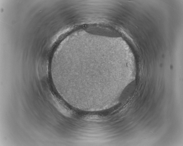 X0000085280685200704092207