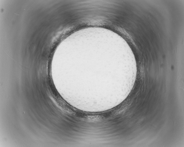 X0000085280686200704092207