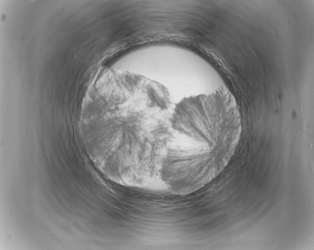 X0000085280687200704092207