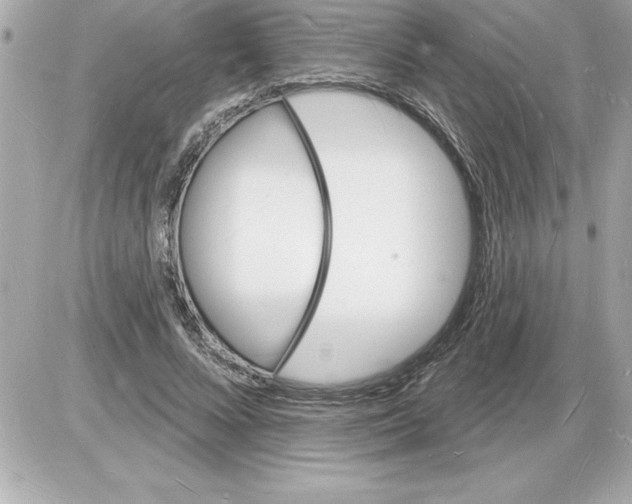 X0000085280688200704092207