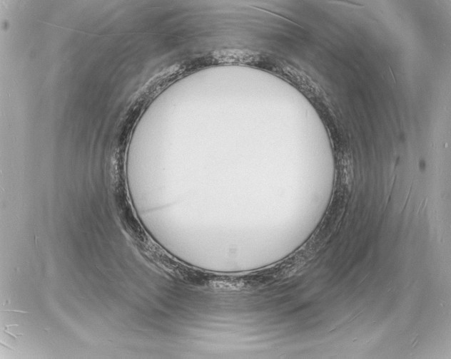 X0000085280690200704092207