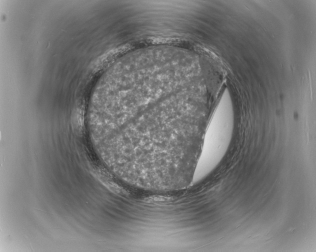 X0000085280691200704092207