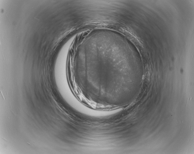 X0000085280692200704092207