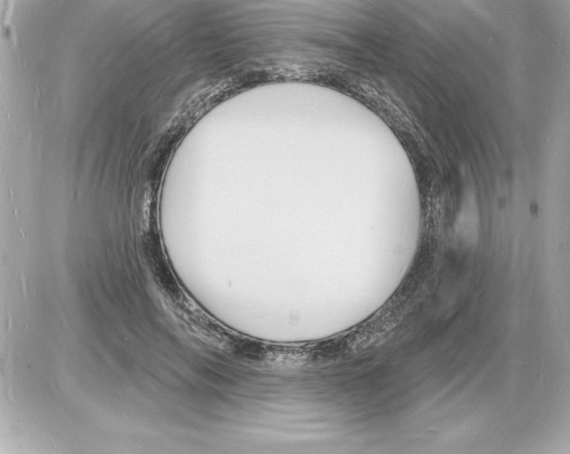 X0000085280694200704092207