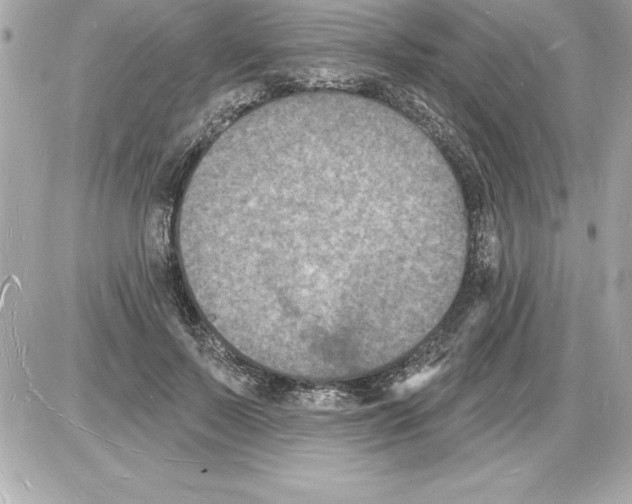 X0000085280695200704092207