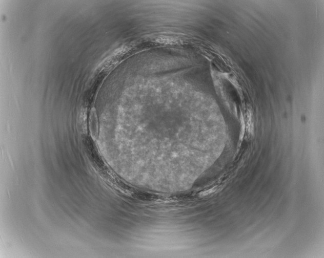 X0000085280696200704092207