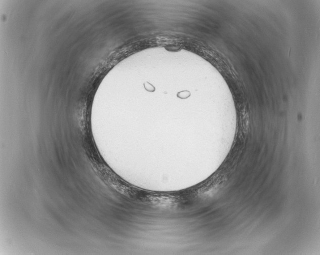 X0000085280698200704092207