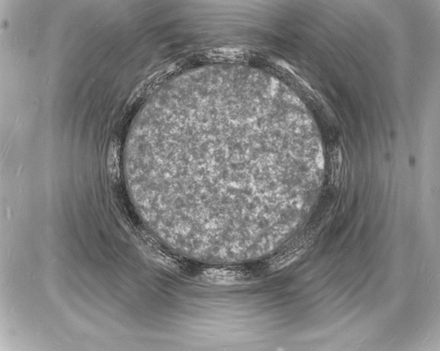 X0000085280699200704092207