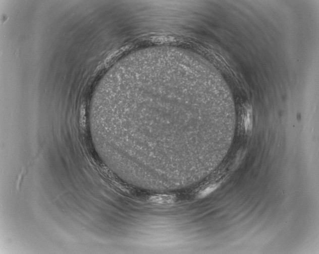 X0000085280700200704092207