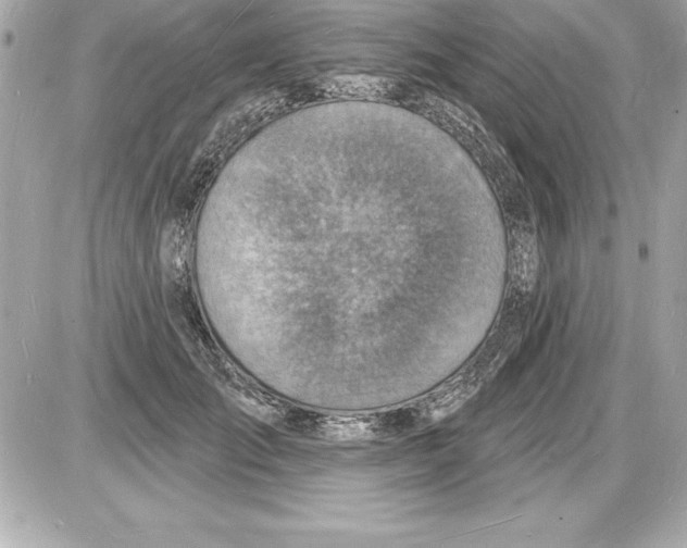 X0000085280701200704092207