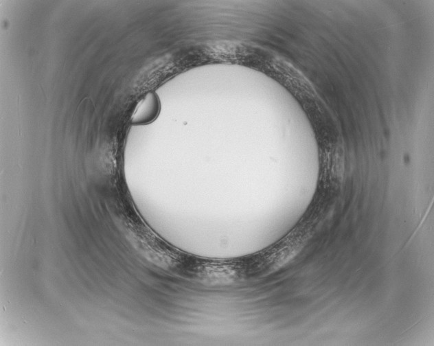 X0000085280702200704092207