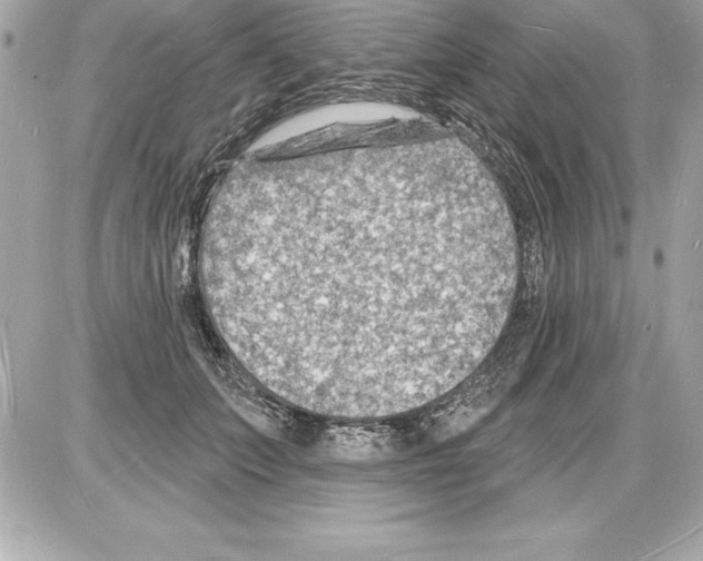 X0000085280703200704092207