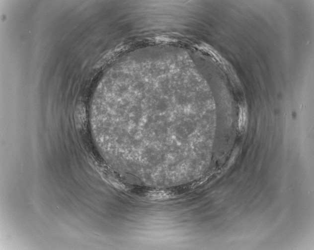 X0000085280704200704092207