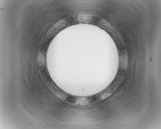 X0000085280705200704092207