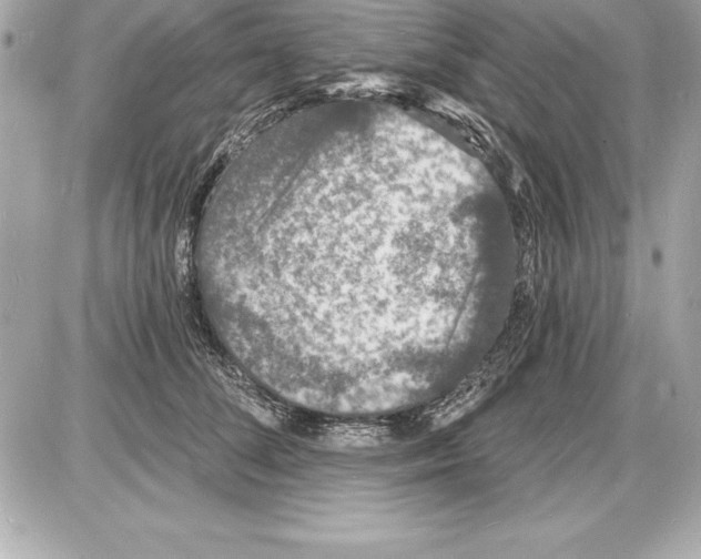 X0000085280708200704092206