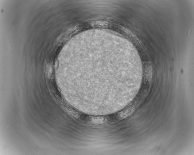 X0000085280709200704092206