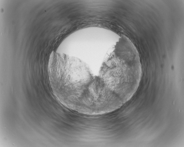 X0000085280711200704092206