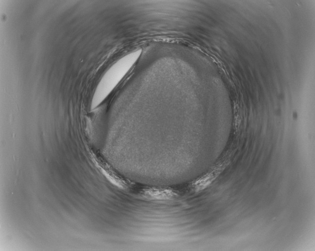 X0000085280712200704092206