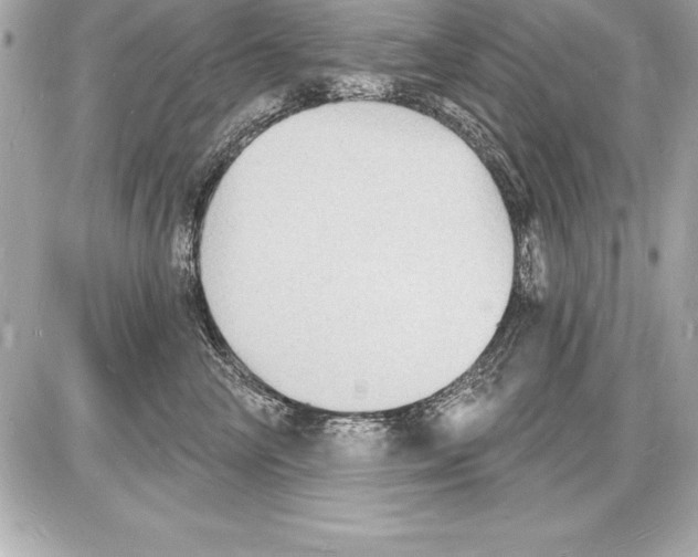 X0000085280714200704092206