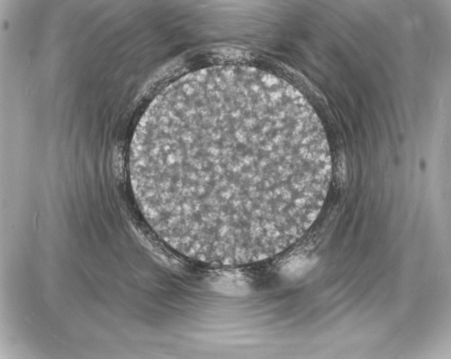 X0000085280715200704092206