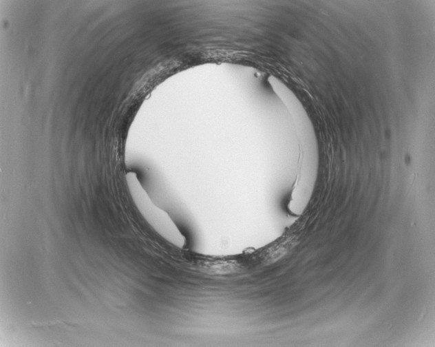 X0000085280716200704092206