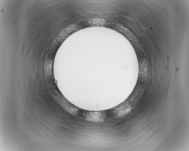 X0000085280717200704092206