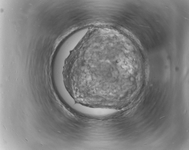 X0000085280721200704092205