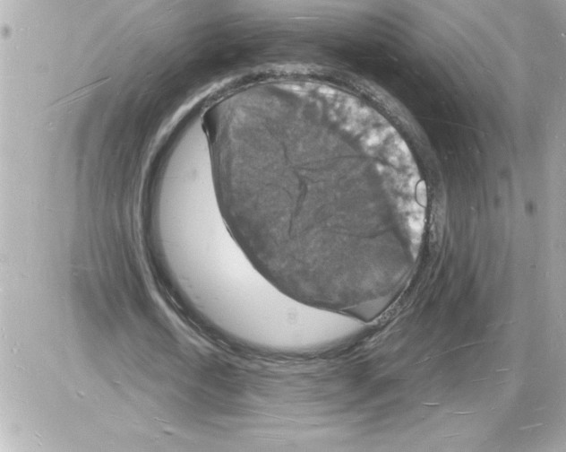 X0000085280722200704092205