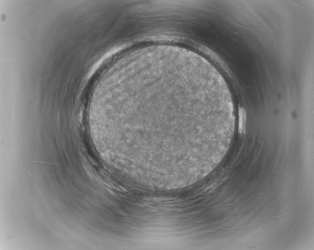 X0000085280723200704092206