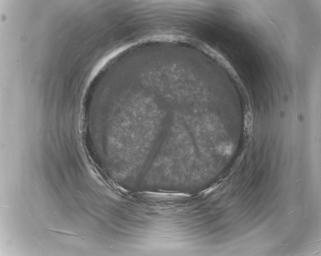 X0000085280724200704092206