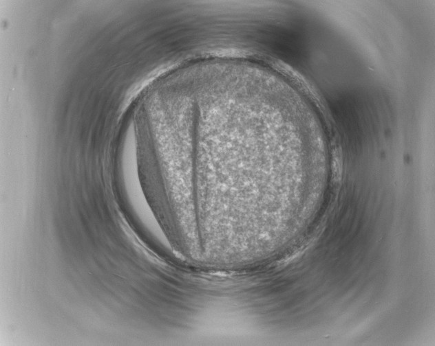 X0000085280725200704092206