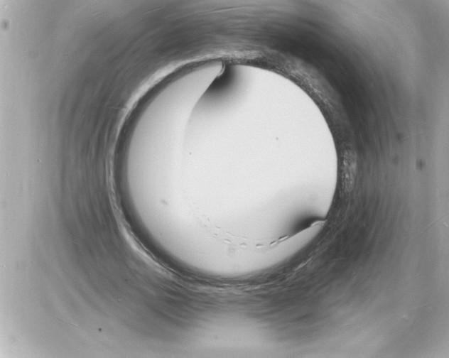 X0000085280726200704092206