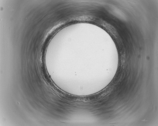 X0000085280727200704092206