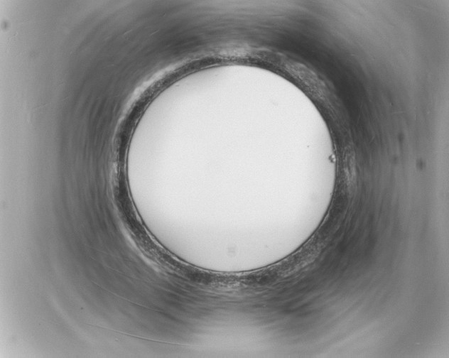 X0000085280728200704092206