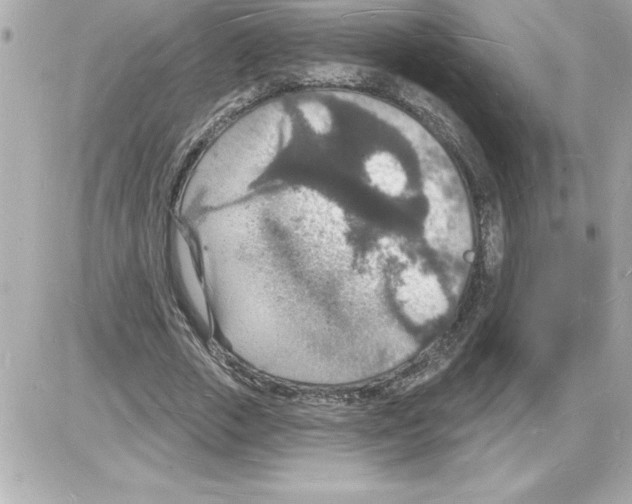 X0000085280729200704092206