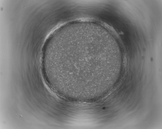 X0000085280730200704092206