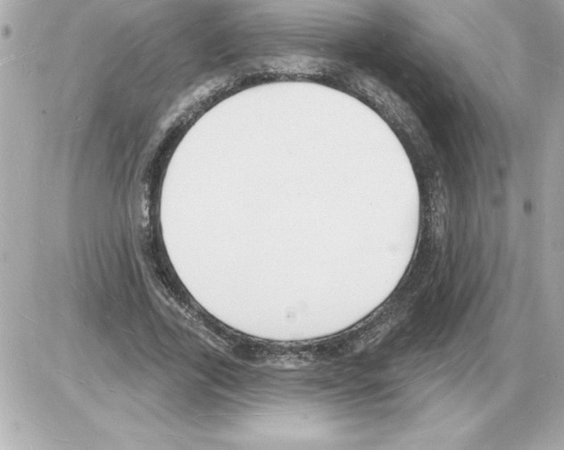 X0000085280731200704092206